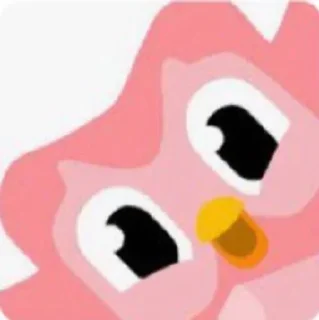 Sticker from Pink Duolingo 🩷