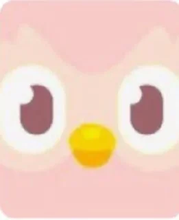 Sticker from Pink Duolingo 🩷