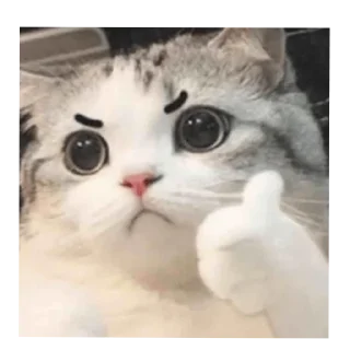🐱 emoji Indigo skies stickers pack 🪻 Telegram sticker 8 of 39