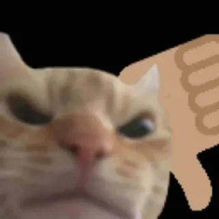 🙀 emoji punya dapa woi 😡😡 Telegram sticker 22 of 35