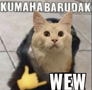 🙀 emoji punya dapa woi 😡😡 Telegram sticker 20 of 35