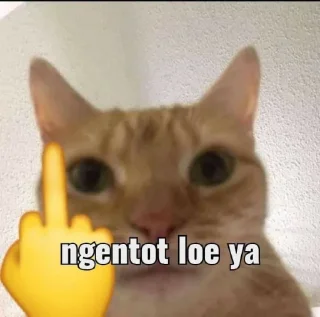 🙀 emoji punya dapa woi 😡😡 Telegram sticker 15 of 35