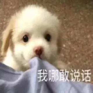 ☹️ emoji @rachelllllllll 专属表情包 Telegram sticker 17 of 38