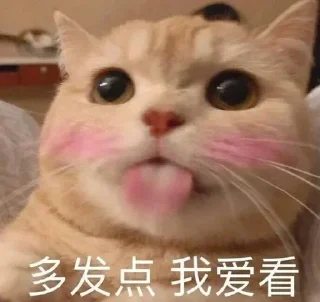 Sticker from @langyouvip 专属表情包