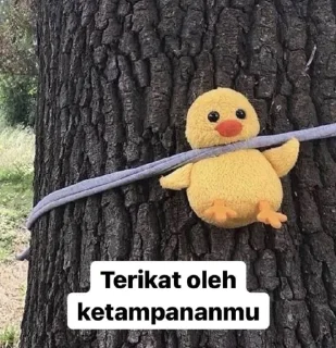 Sticker from Meme bukan memek
