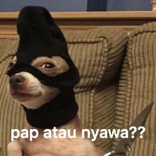 🔪 emoji Meme bukan memek Telegram sticker 11 of 35