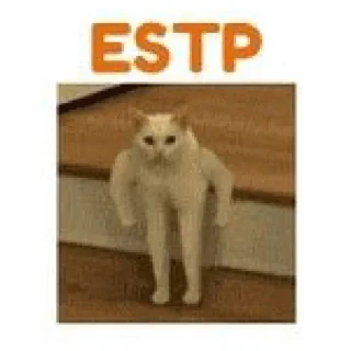 👨‍🔧 emoji nyamm MBTI Telegram sticker 16 of 37
