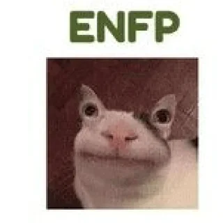 🤪 emoji nyamm MBTI Telegram sticker 10 of 37