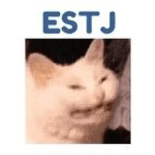 👩‍💼 emoji nyamm MBTI Telegram sticker 9 of 37