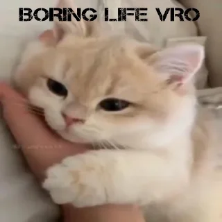 🥱 emoji VIOLET EVERGARDEN'S CAT Telegram sticker 21 of 32
