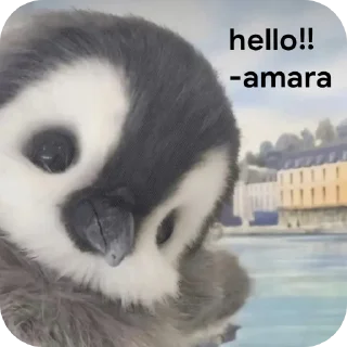 🐱 emoji amara sticker @dcuyin Telegram sticker 6 of 65