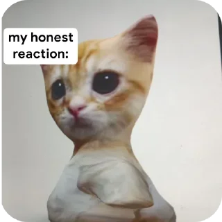 🐱 emoji amara sticker @dcuyin Telegram sticker 14 of 65