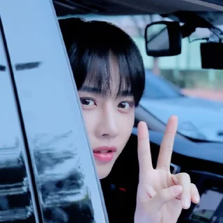 Sticker from sunwoo , 김 @pacarskz