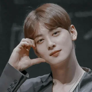 🤔 emoji eunwoo @WOODZSTCAN Telegram sticker 12 of 14