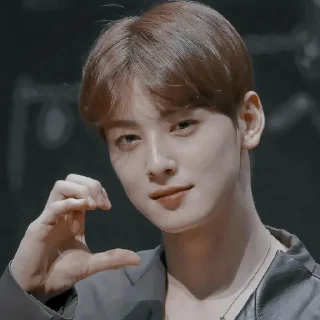 🤔 emoji eunwoo @WOODZSTCAN Telegram sticker 11 of 14