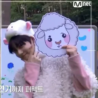 🐑 emoji ENHYPEN Yang Jungwon ; @sweetestroad ♡̸̸̸̸ Telegram sticker 14 of 22