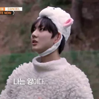 🐑 emoji ENHYPEN Yang Jungwon ; @sweetestroad ♡̸̸̸̸ Telegram sticker 11 of 22