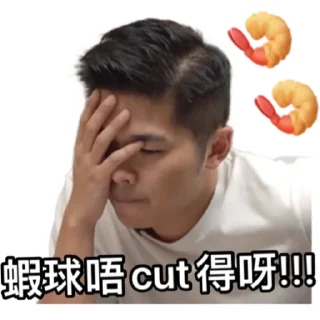 🍤 emoji 試當真一週年紀錄版｜ 試當真 Telegram sticker 3 of 30