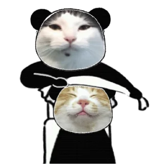 😝 emoji 体育红单推荐 @wmty168 Telegram sticker 8 of 50
