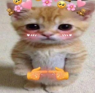 🥰 emoji dudul gemes kata alin Telegram sticker 15 of 17
