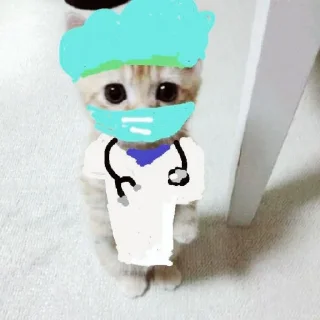 🏥 emoji dudul gemes kata alin Telegram sticker 13 of 17