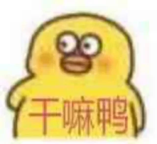 🧐 emoji 皮卡宝 @pikabao 美金虚拟信用卡 Telegram sticker 7 of 33