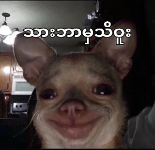 😭 emoji Your stickers - @my_stckers_bot Telegram sticker 19 of 108