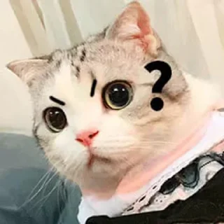 😂 emoji 自来也自用 Telegram sticker 6 of 12