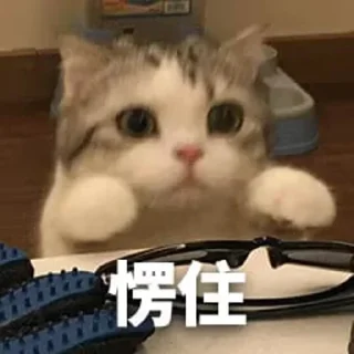 😑 emoji 自来也自用 Telegram sticker 7 of 12