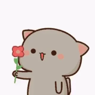 🌹 emoji Goma mochi vdo @sparkling_vibes Telegram sticker 23 of 31