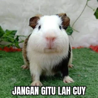 😞 emoji Campur cuy @cherwi Telegram sticker 1 of 37