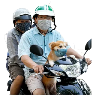 🇻🇳 emoji Vietnam Today Telegram sticker 13 of 45