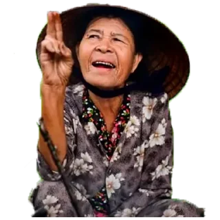✌ emoji Vietnam Today Telegram sticker 24 of 45