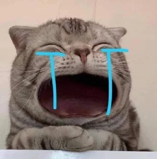 🥹 emoji punya cathy @petitesg Telegram sticker 8 of 96