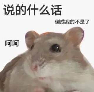😞 emoji 鼠鼠的表情包合集2 @shushukeainie Telegram sticker 19 of 94