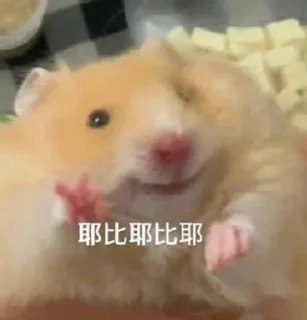 ✌️ emoji 鼠鼠的表情包合集2 @shushukeainie Telegram sticker 11 of 94