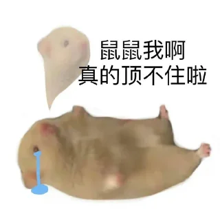😭 emoji 鼠鼠的表情包合集2 @shushukeainie Telegram sticker 13 of 94