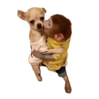 Sticker from Lmao