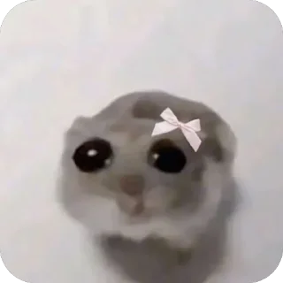 🫥 emoji sk sk pejjoy Telegram sticker 17 of 19