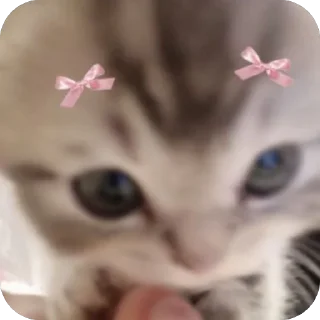 🫥 emoji sk sk pejjoy Telegram sticker 15 of 19