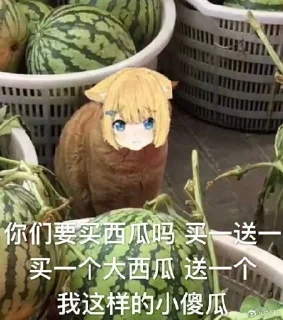 😀 emoji ㅤ SpongeBob 绵鸣 🅥的贴纸包（1） Telegram sticker 6 of 120