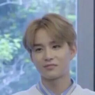 🐜 emoji jungwoo nct @lelekriuk Telegram sticker 1 of 60