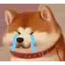 😭 emoji jipeng常用表情包 Telegram sticker 21 of 36