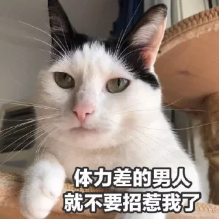 😃 emoji 欧宝招商-西门⛩  @OB521  ⛩ Telegram sticker 23 of 105