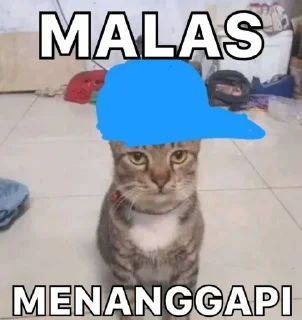 🙀 emoji kucing Telegram sticker 1 of 7