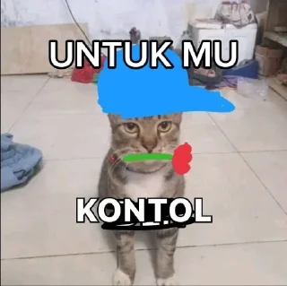 🙀 emoji kucing Telegram sticker 5 of 7