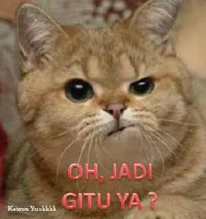 Sticker from Kucing