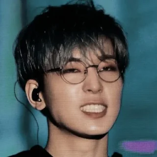 💣 emoji wonwoo ⌇ @willhelpyou Telegram sticker 16 of 68