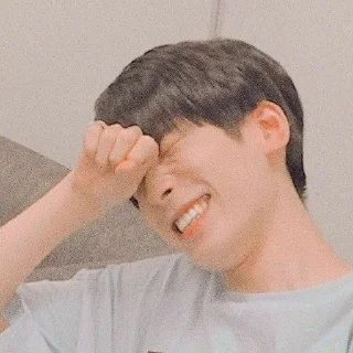 Sticker from Wonwoo, @sateurdate
