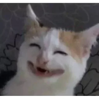 😁 emoji 🤪🤪 @TikTokslnk Telegram sticker 12 of 83